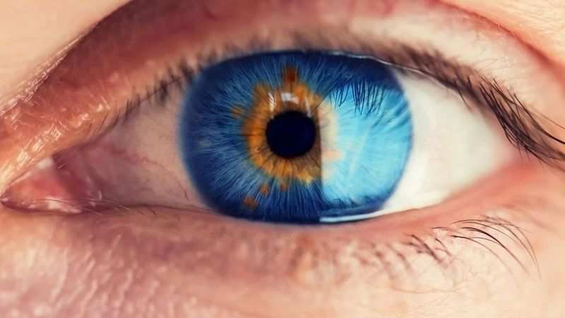 <p>Antalyalıların göz rengine ilişkin araştırması başladı. En yaygın göz rengine ilişkin detaylar vatandaşlar tarafından merakla araştırma konusu oldu. Arama motorları üzerinde ''Antalya'da en yaygın göz rengi nedir?'' sorusunun yanıtı araştırılmaya başlandı. </p>