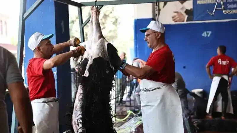 <p>Belediye ekipleri tarafından kurulan sıra sistemiyle vatandaşlar numara alarak kesim sırasını bekledi. Sırası gelen vatandaşların kurbanları, alanında uzman kasaplar tarafından kesilerek parçalanmış şekilde teslim edildi. Tüm işlemler, Tarımsal Hizmetler Dairesi Başkanlığı’na bağlı veteriner hekimlerin denetiminde ve sıcak hava şartları göz önünde bulundurularak hızla gerçekleştirildi.</p>
<p>Hem ekonomik hem de pratik bu hizmet, Antalyalılar tarafından memnuniyetle karşılandı. Kurbanlarını stressiz bir şekilde kestirip teslim alan vatandaşlar, Antalya Büyükşehir Belediye Başkanı Muhittin Böcek’e ve emeği geçen belediye personeline teşekkür etti.</p>
<p>Antalya Büyükşehir Belediyesi, bayram boyunca hem sağlık koşullarına hem de çevre temizliğine özel önem vererek örnek bir hizmet sundu. Uzman kasapların ve veteriner hekimlerin gözetiminde yapılan kesimlerde, İslami usullere ve hijyen kurallarına titizlikle riayet edildi.</p>