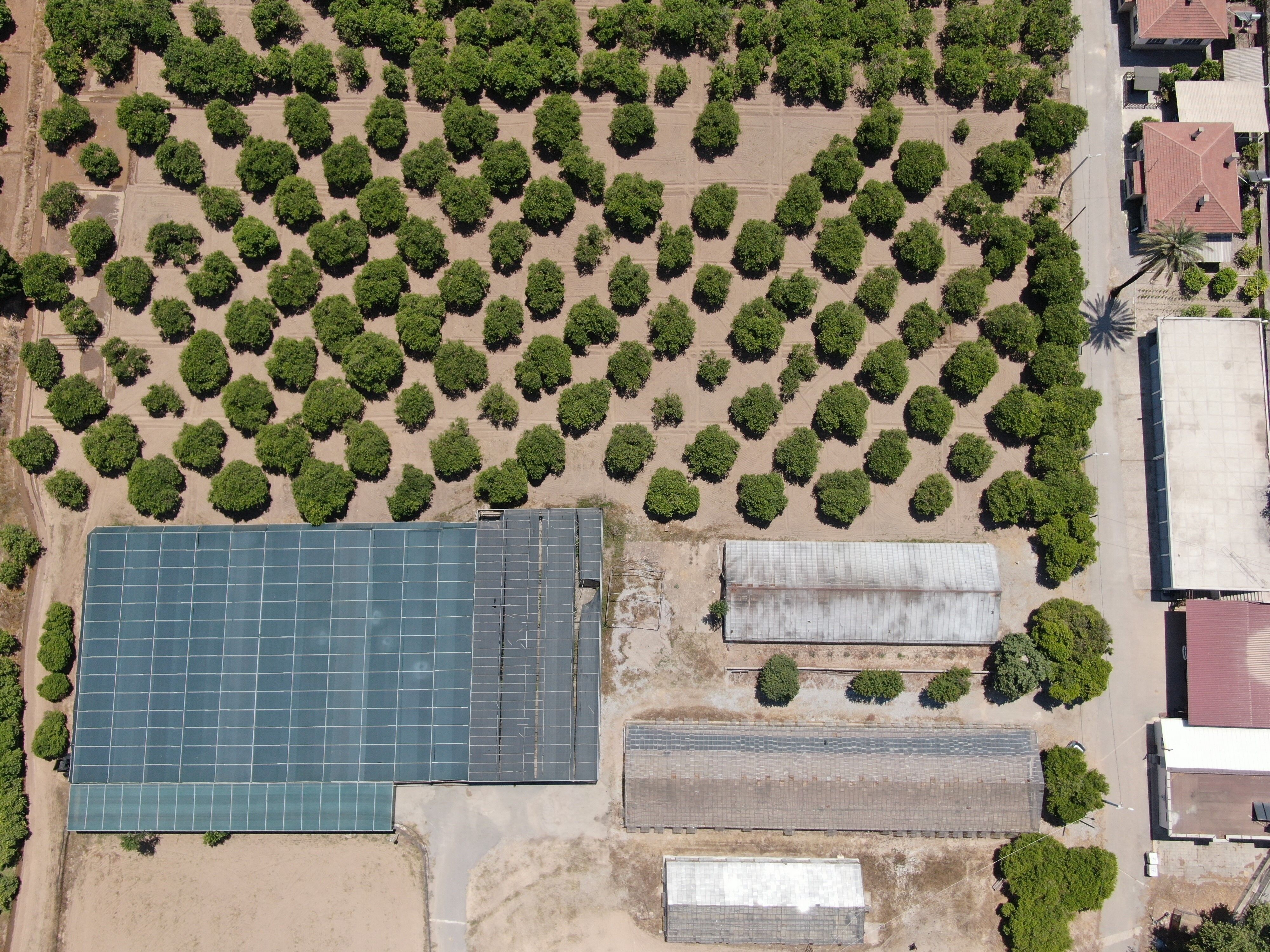 Ali Candir Tarim Alanlari Antalya.3