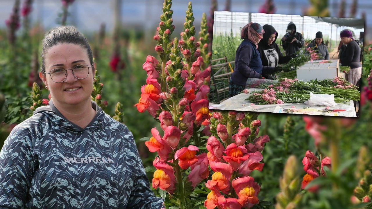 Antalya’da kesme çiçekte yeni hamle: İlk ihracat Avrupa’ya yapıldı