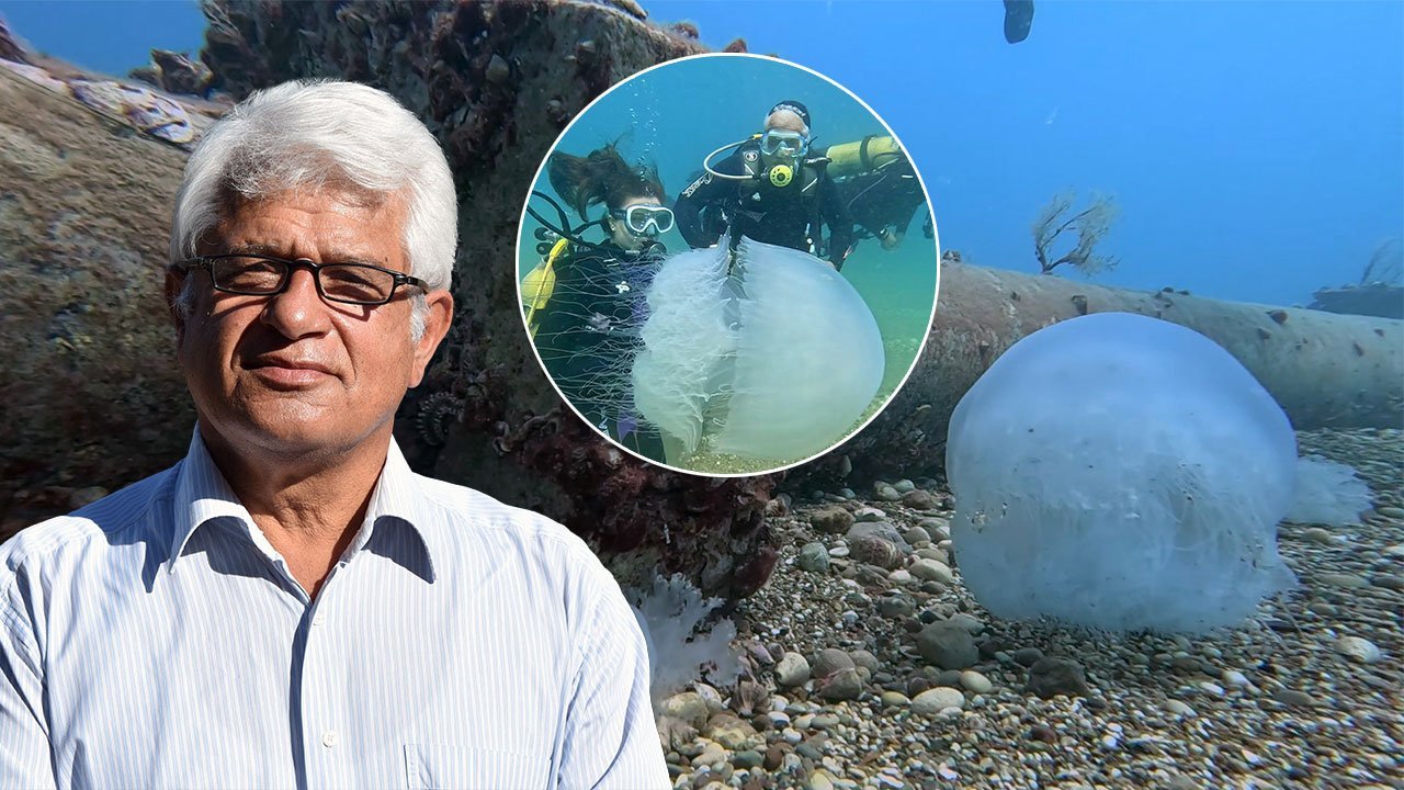 Antalya'da şiddetli poyraz denizanalarını kıyıya taşıdı!