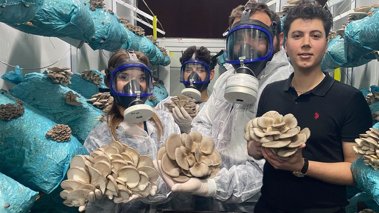 Antalya'da mantar yetiştiriciliğini dev tesise çevirdi!