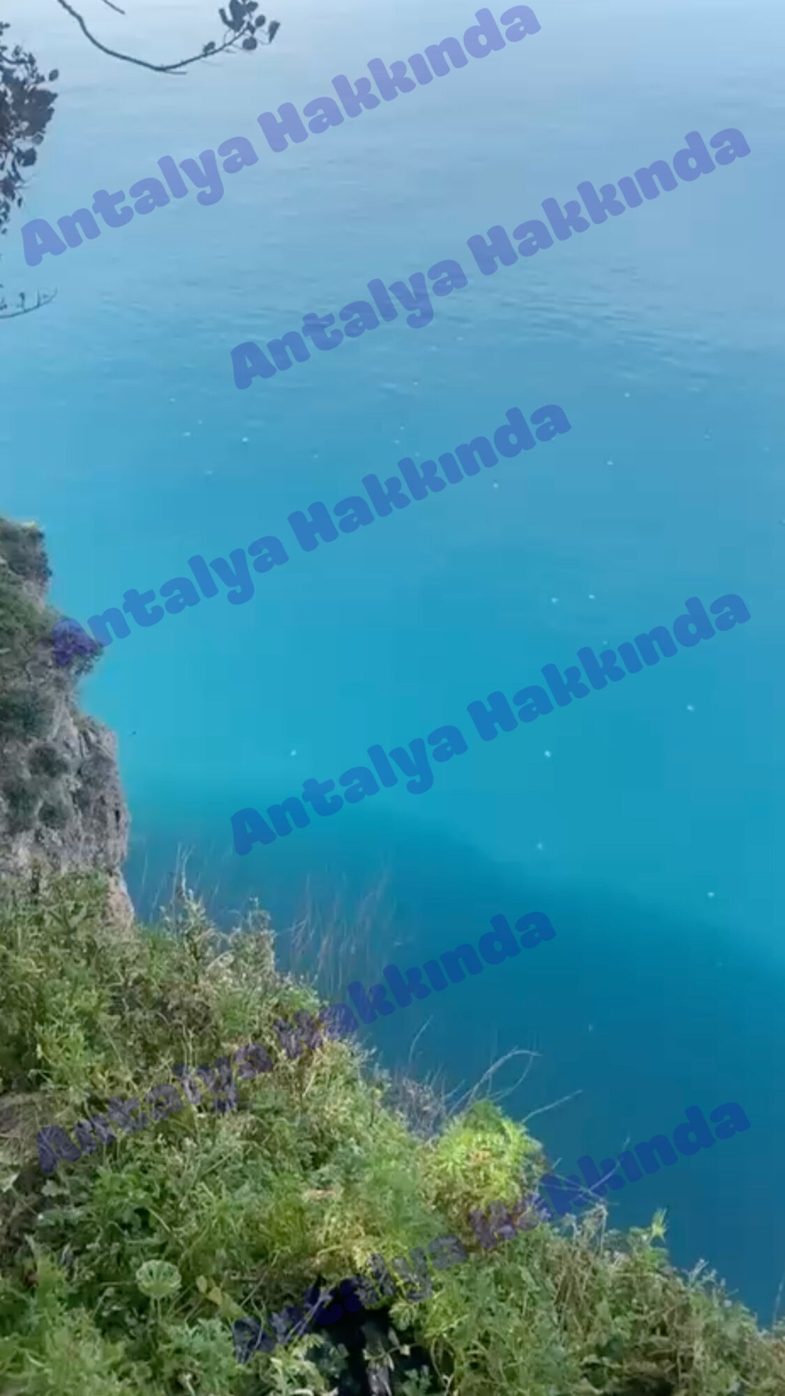 Antalya Deniz Anası2
