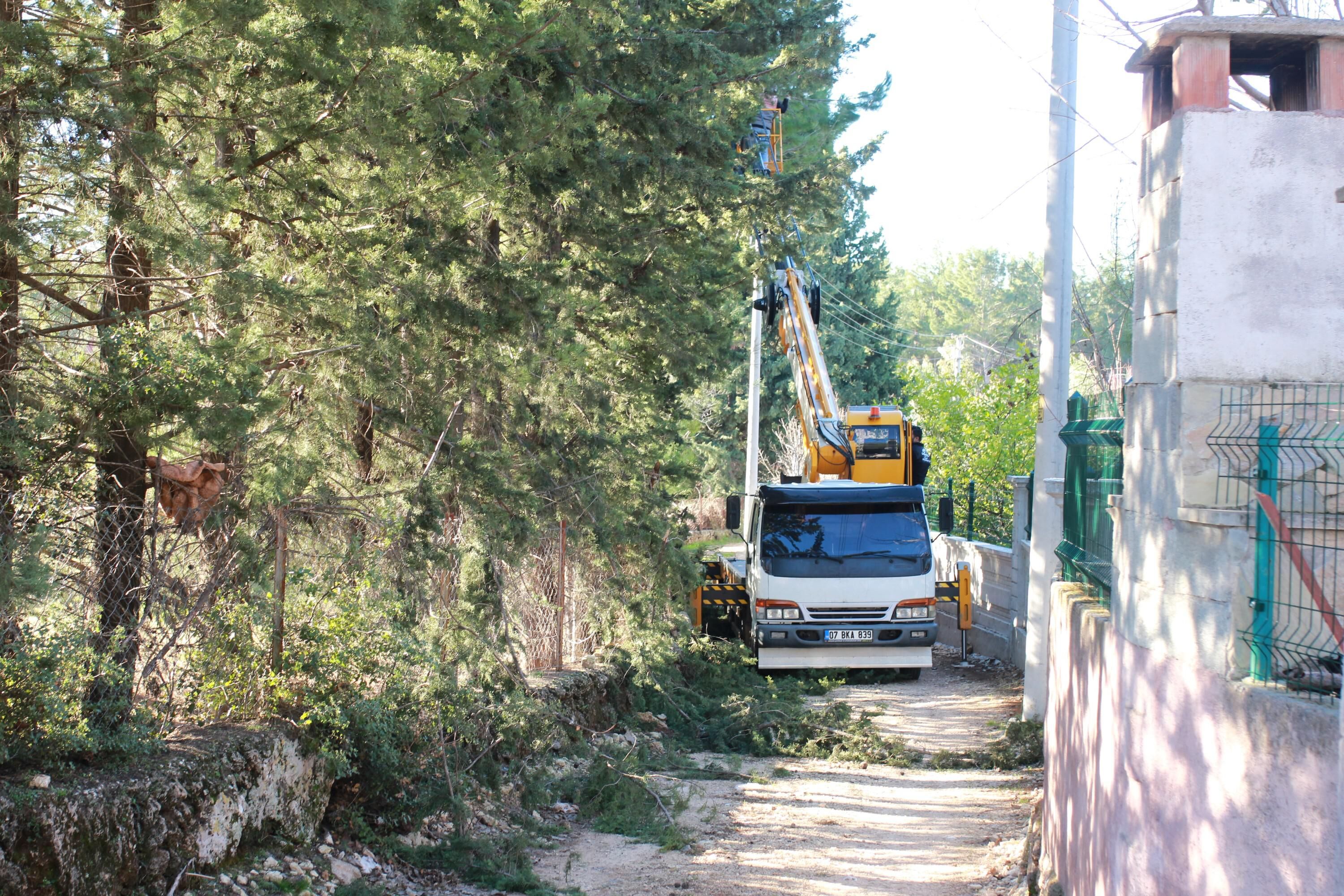 Kepezde Yesil Alanlar Park Ve Bahceler Ekiplerine Emanet 8