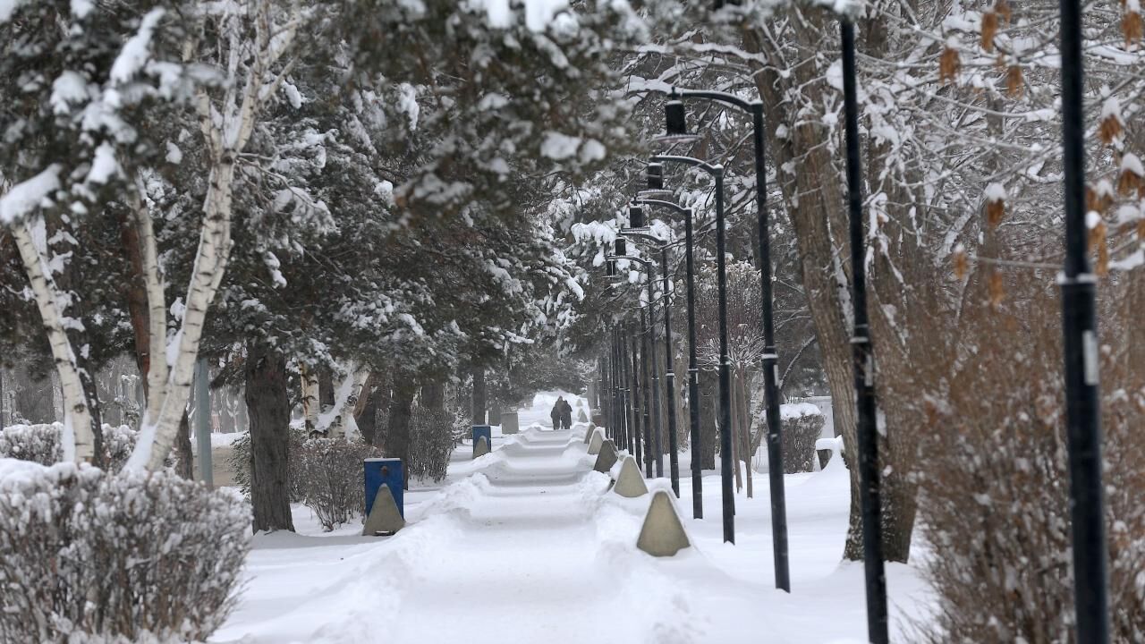Erzurum'un Simgesi Nedir?
