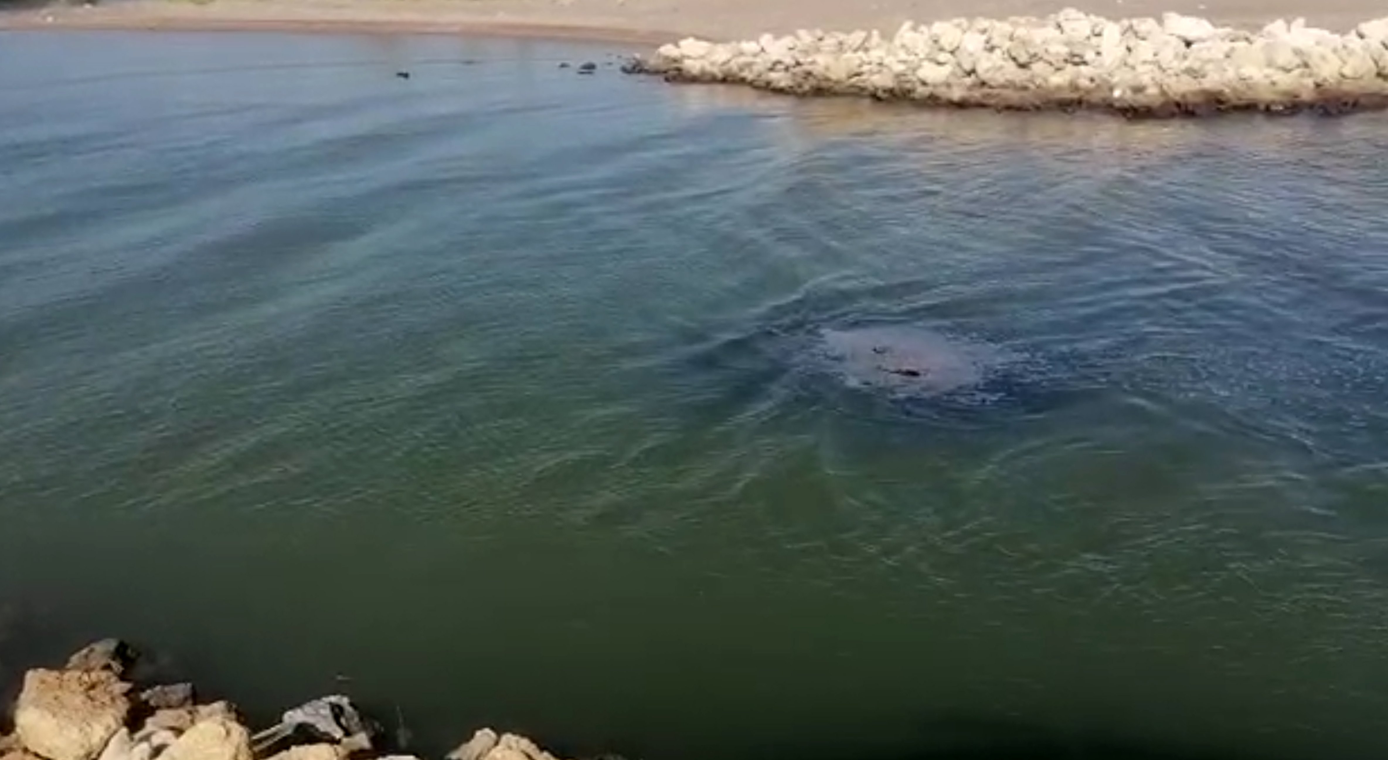 Aksu Sahilkondu Yikim Sureci6