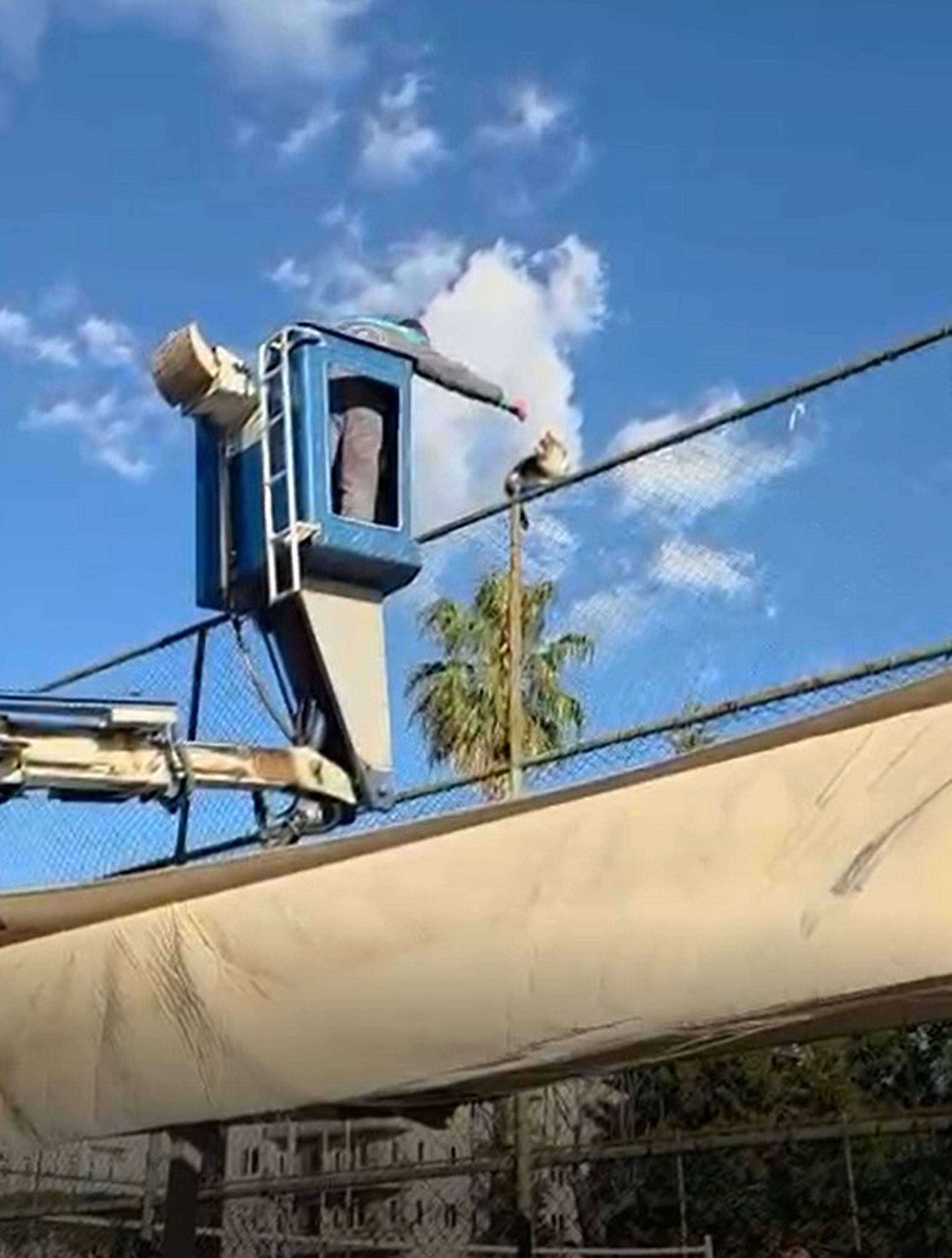 Alanyada Kedi Mahsur Kaldı1