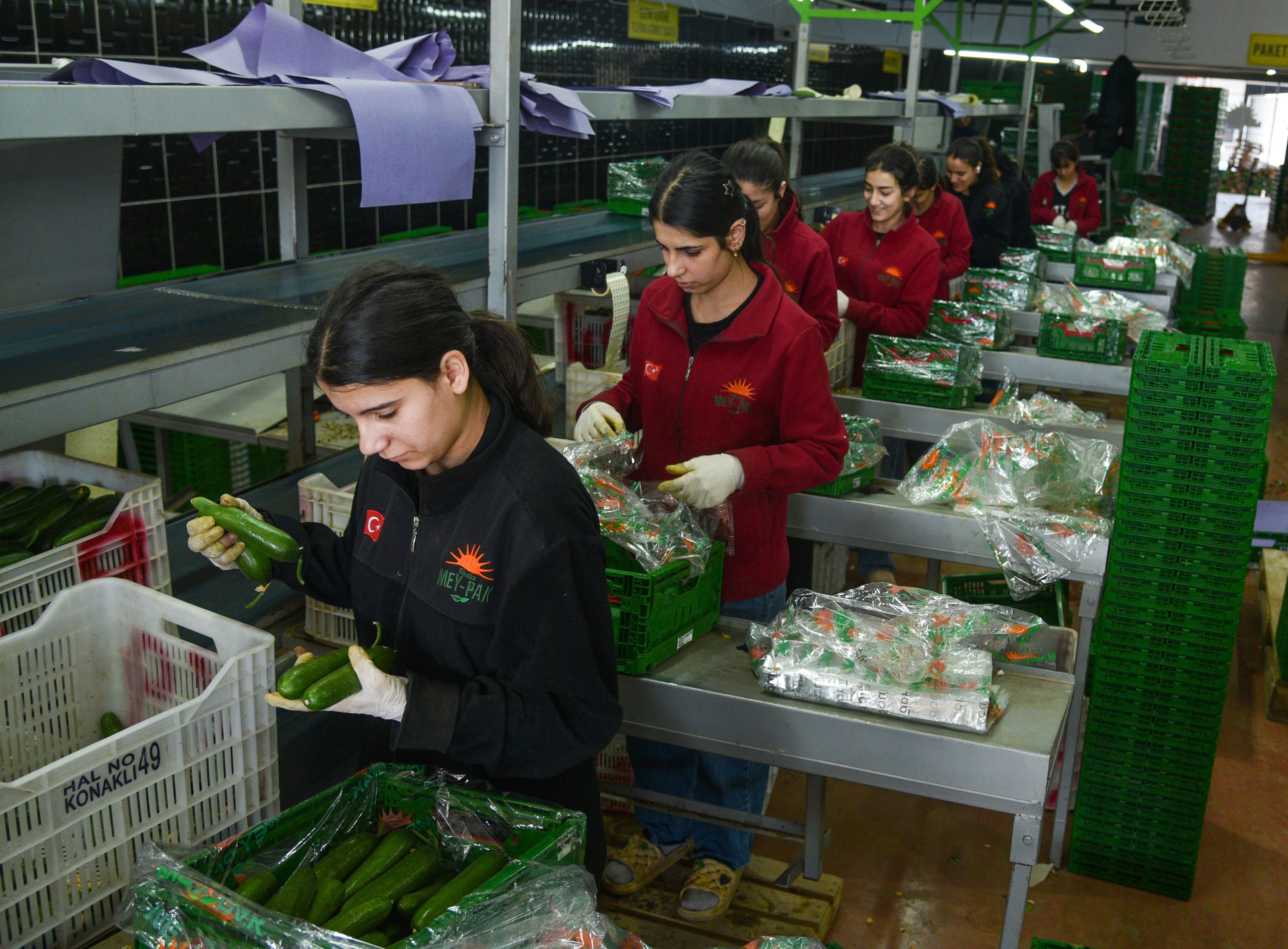 Antalya Hali'nden 64 Ülkeye Ihracat 1