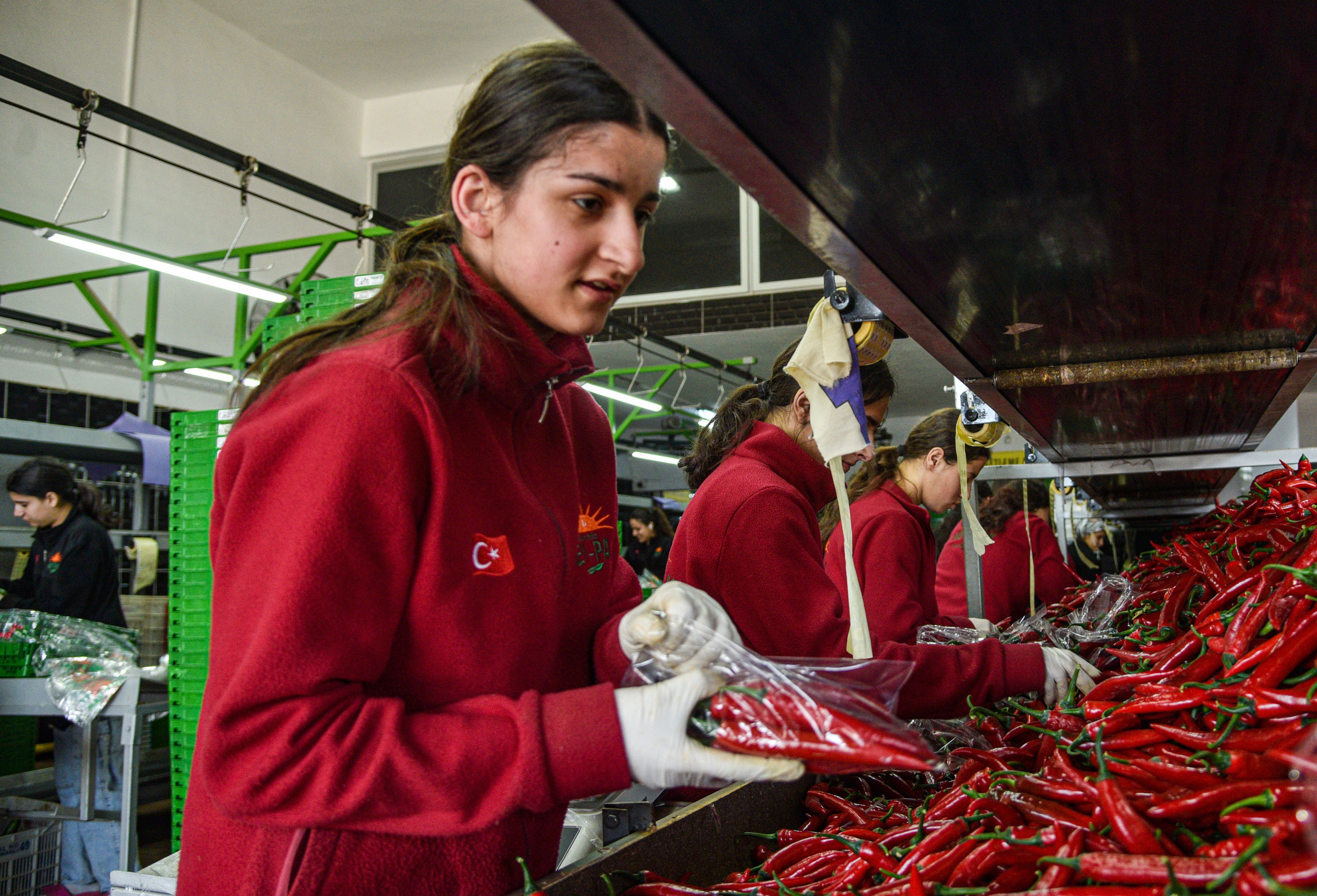 Antalya Hali'nden 64 Ülkeye Ihracat 4