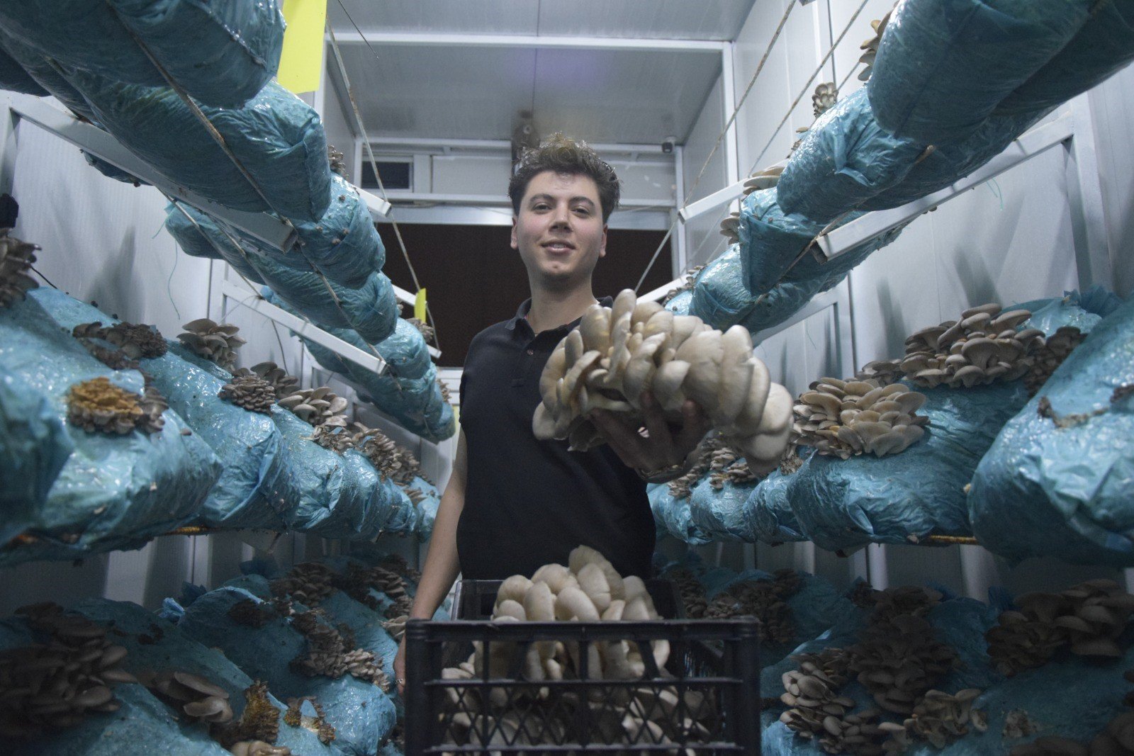 Antalya'da Mantar Yetiştiriciliğini Dev Tesise Çevirdi6