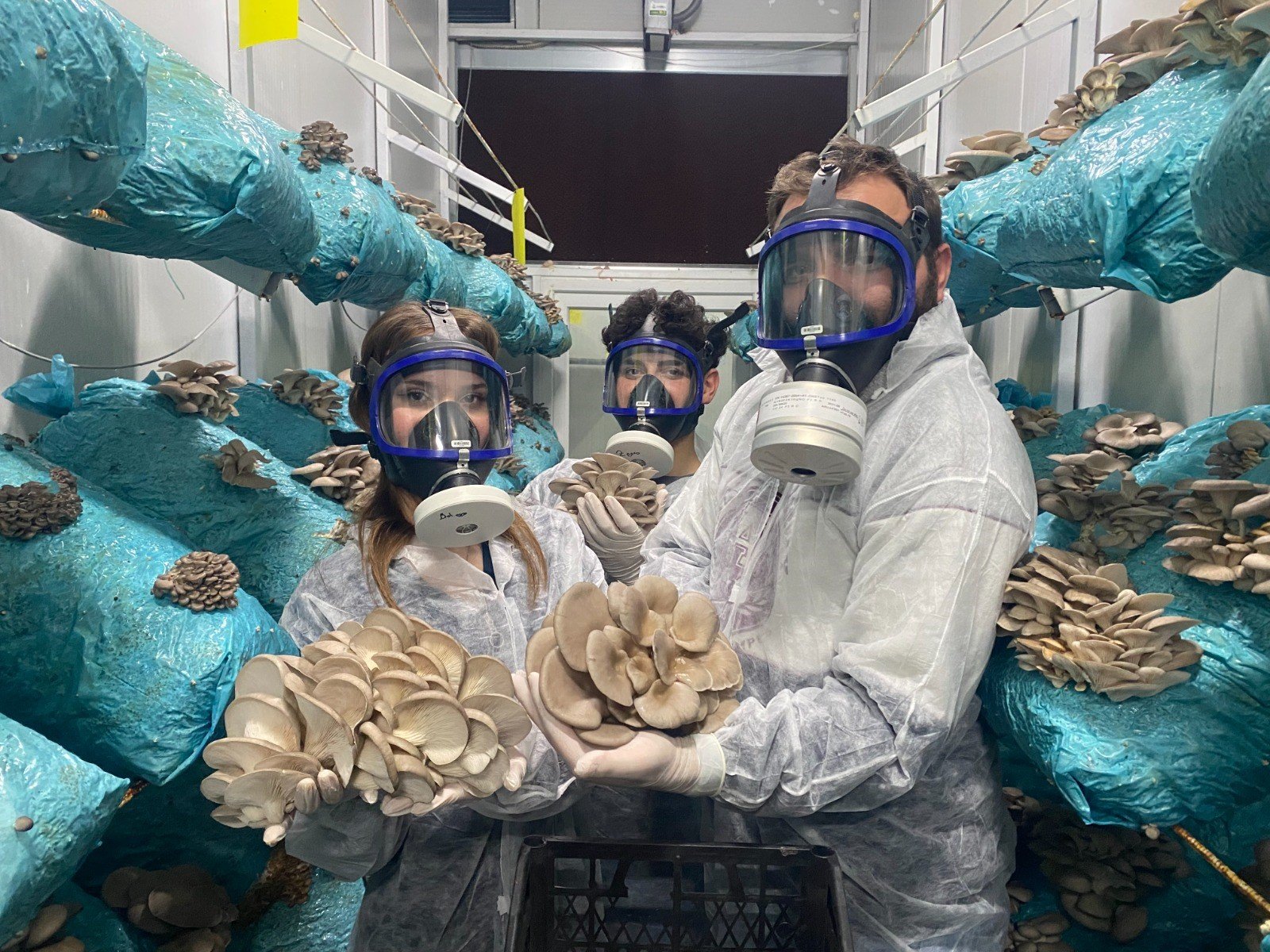 Antalya'da Mantar Yetiştiriciliğini Dev Tesise Çevirdi7