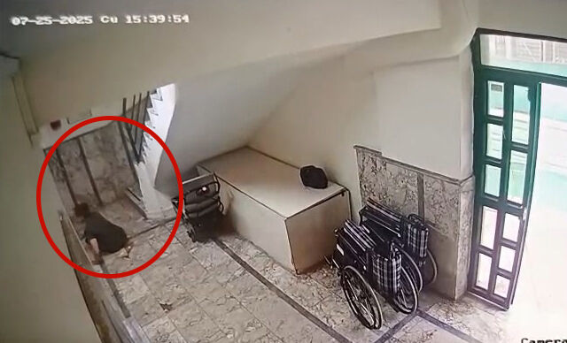 Antalyada Merdivenden Düştü2