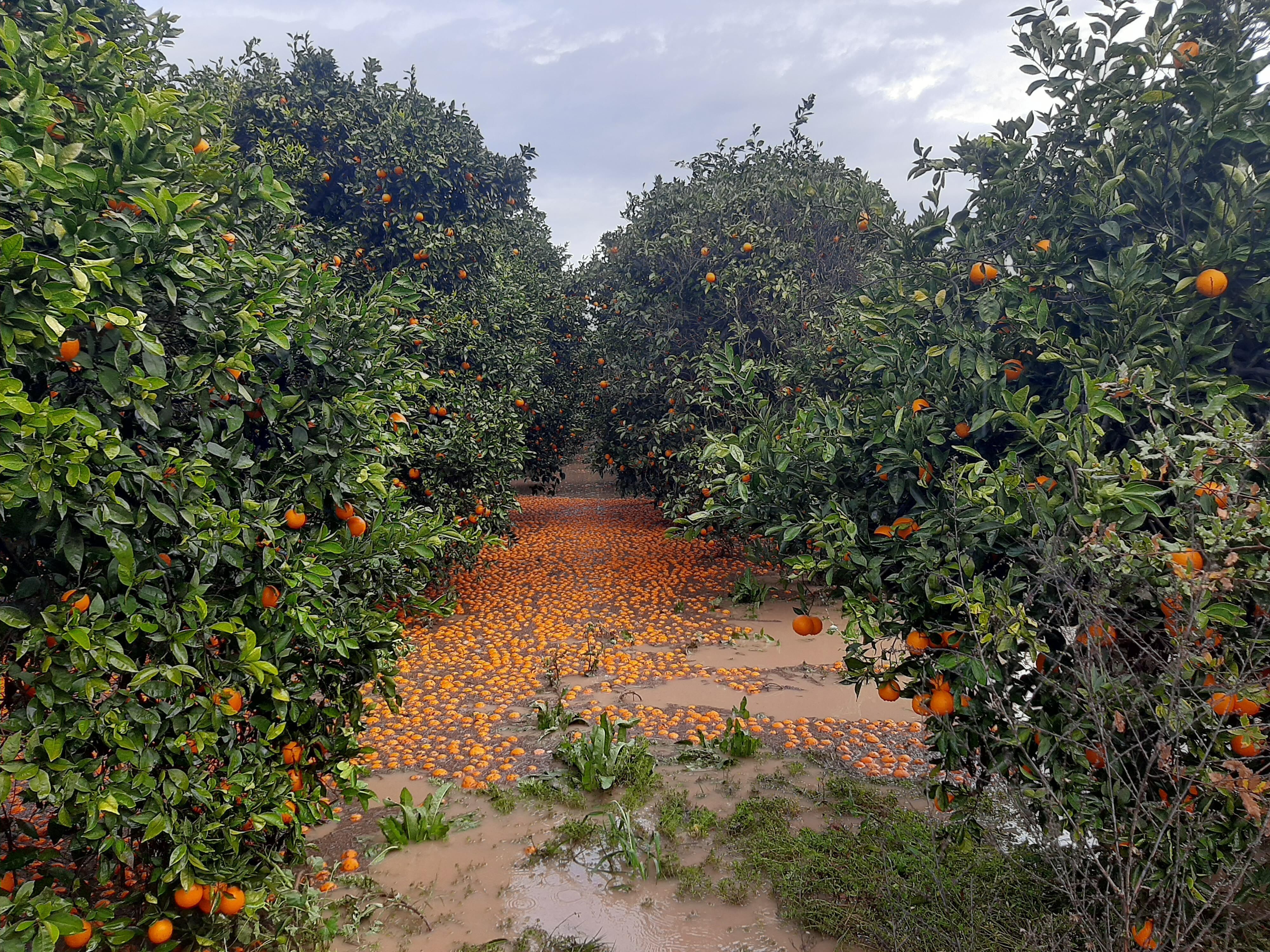 Aşırı Hava Olayları Sel Kuraklık