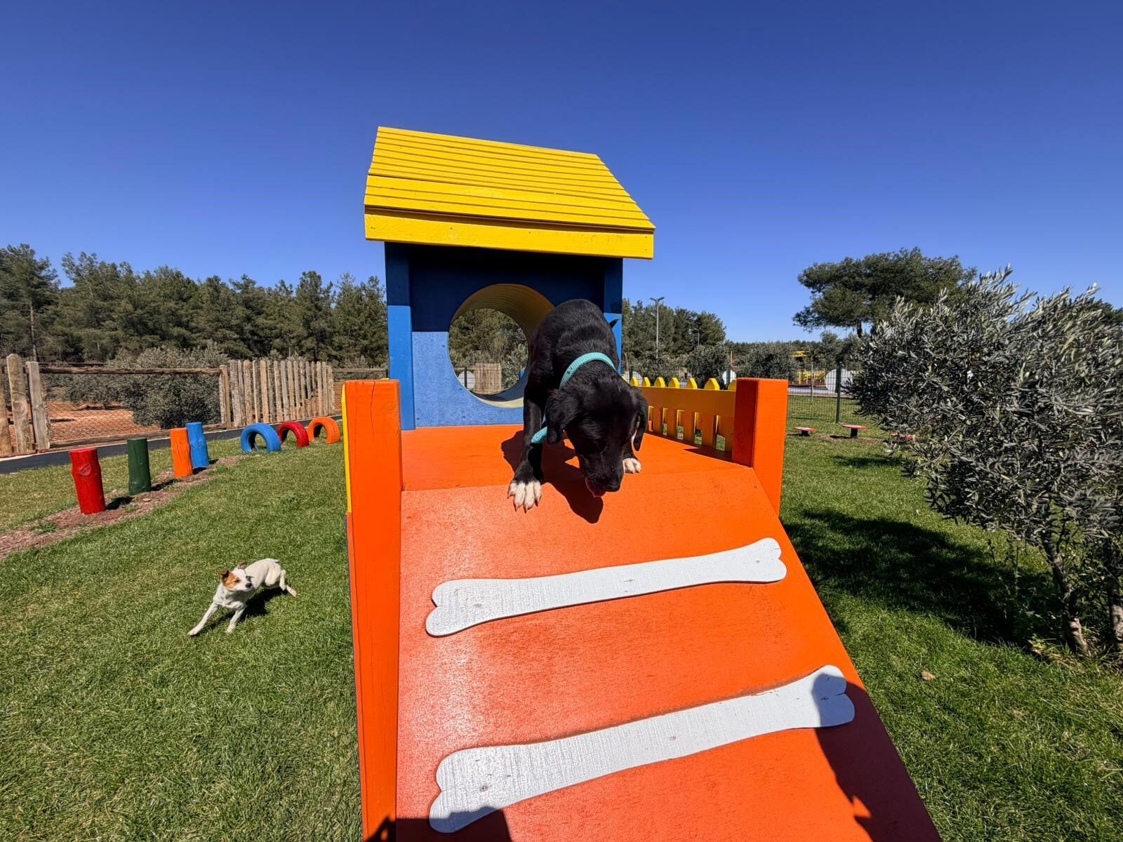 Duaci Mahallesi Pati Park1