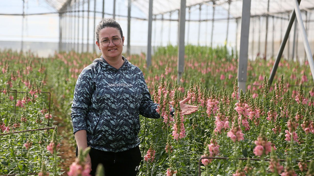 Kesme Cicek Serik Antalya Ihracat