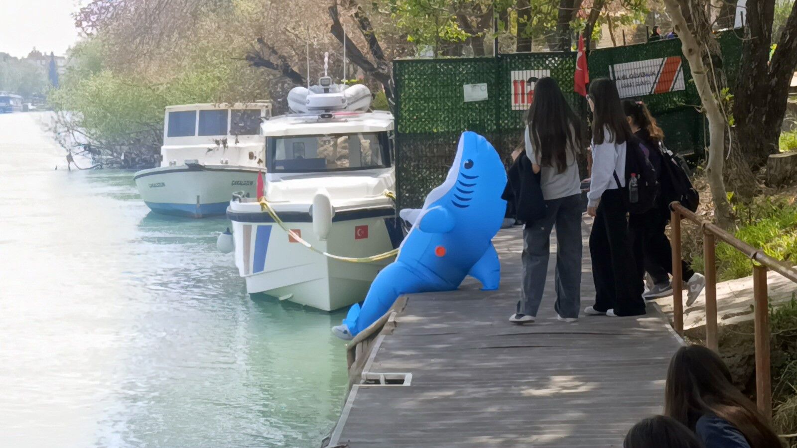 Köpek Balığı Kostümü2