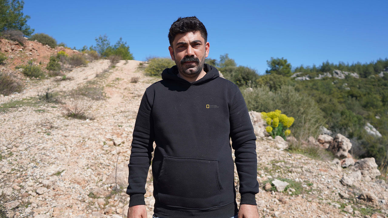 Kulaklari Kesilen Yavru Kopekler6