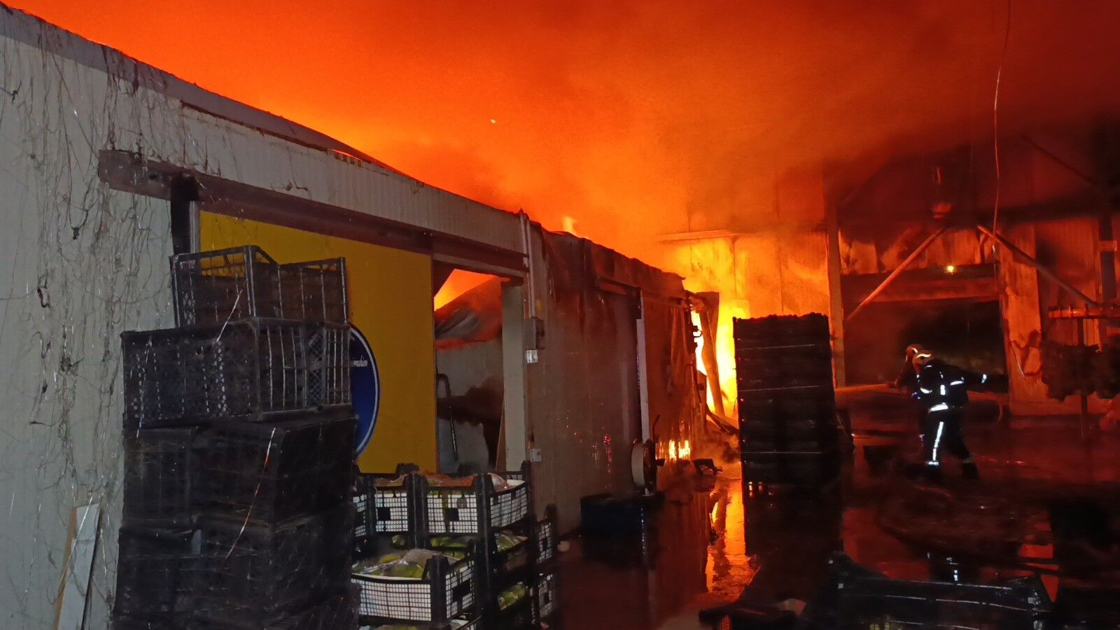 Muz Paketleme Tesisi Yangın1