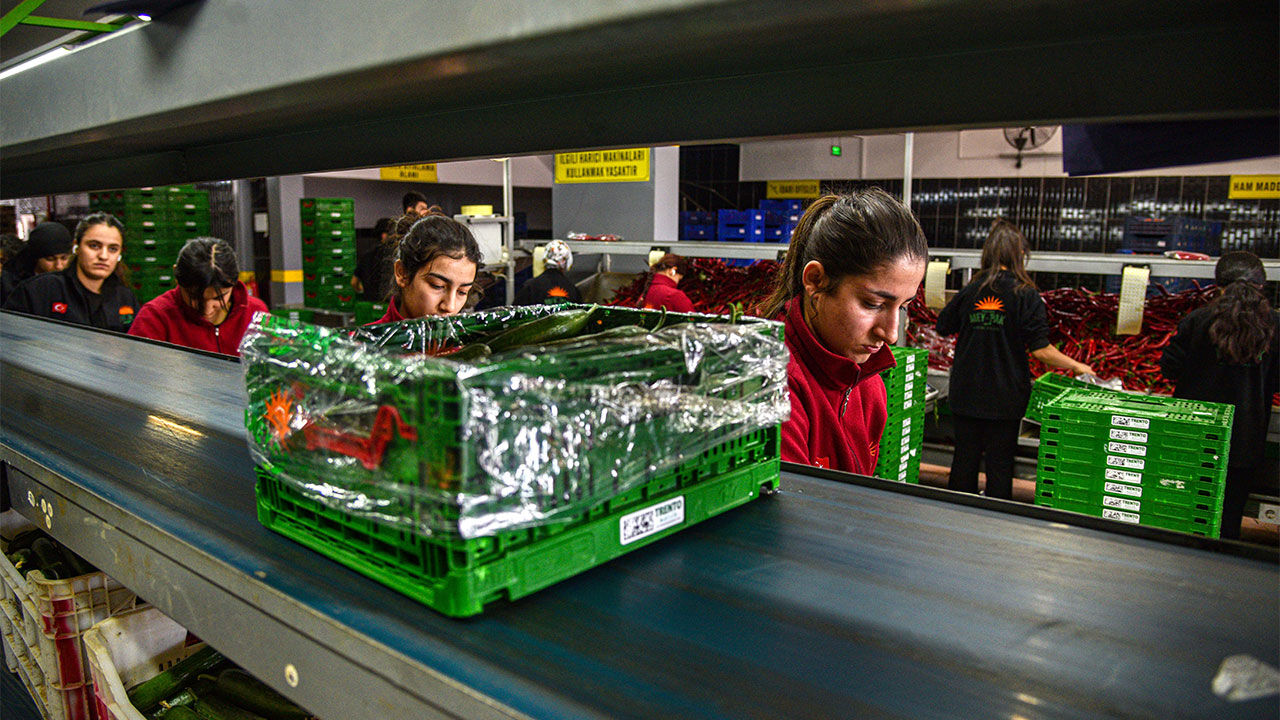 Sebze Ihracati Antalya-1