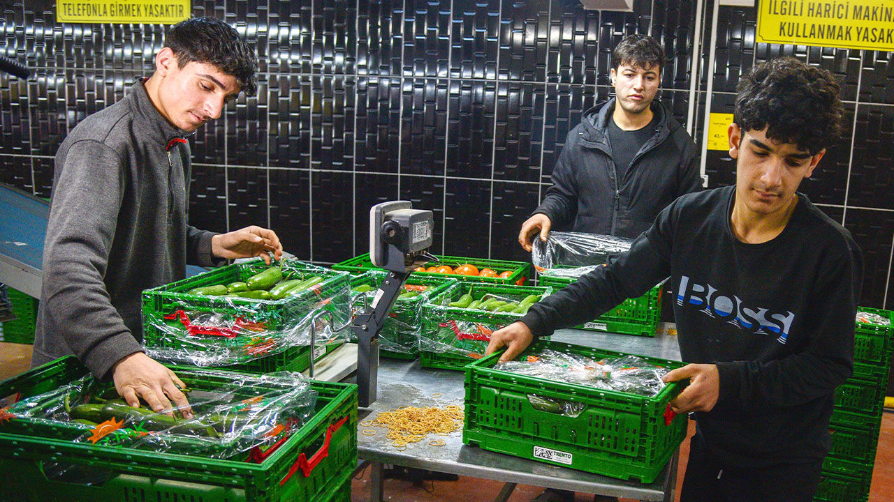 Sebze Ihracati Antalya1