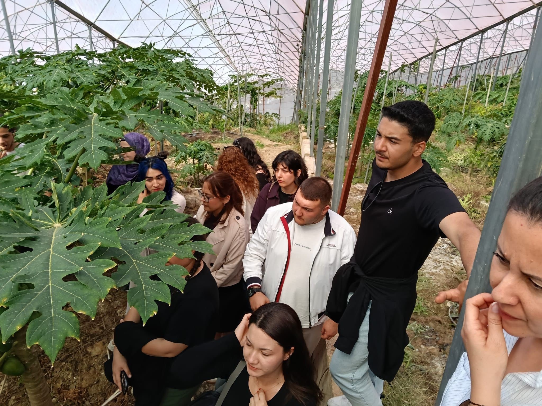 Tropikal Meyve Bahçeleri2