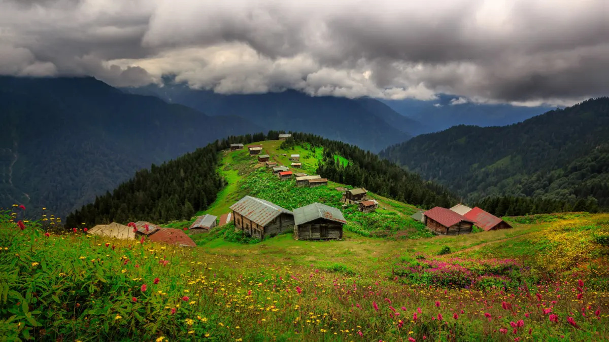 Giresun'un En İyi İlçesi Hangisi?