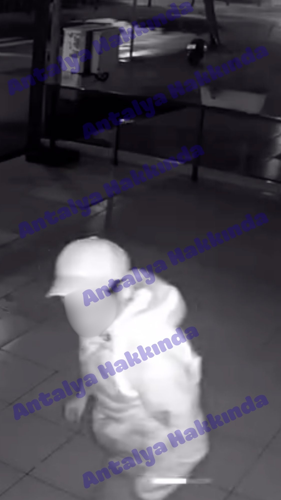 Halı Hırsızları Antalya2