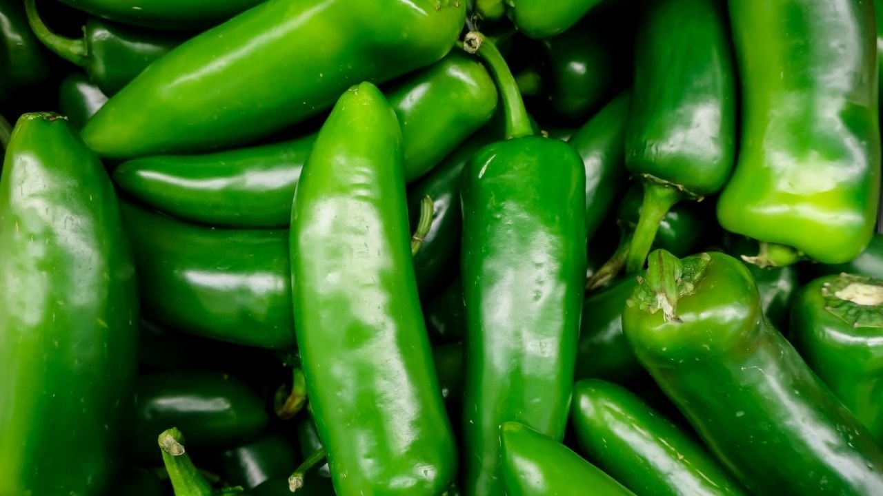 Antalya Fiyat Denetimi