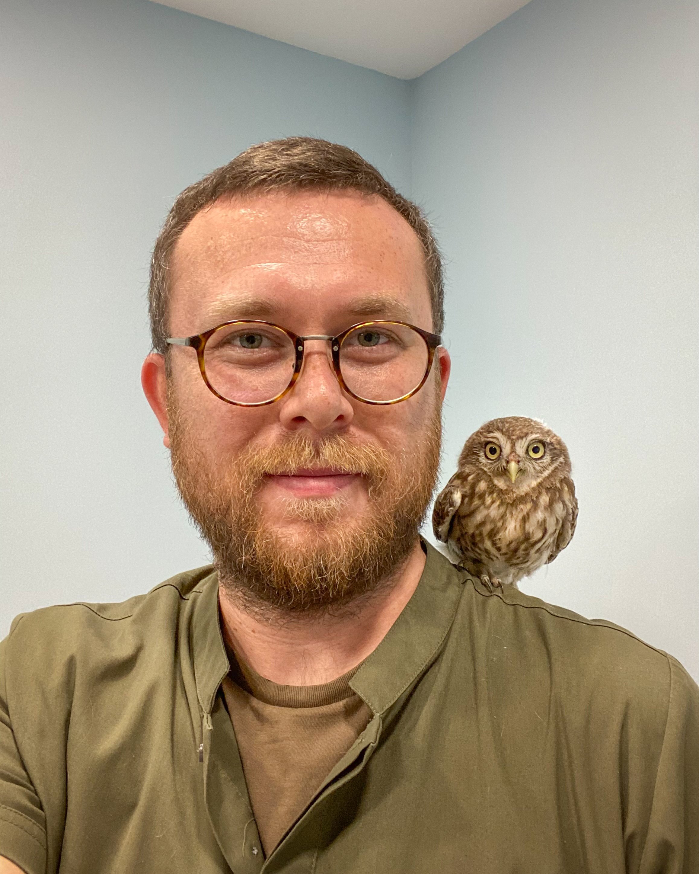 K U M K O Y D E K I L A G I M C U K U R L A R I I C I N C E Z A S I 1232849 366648