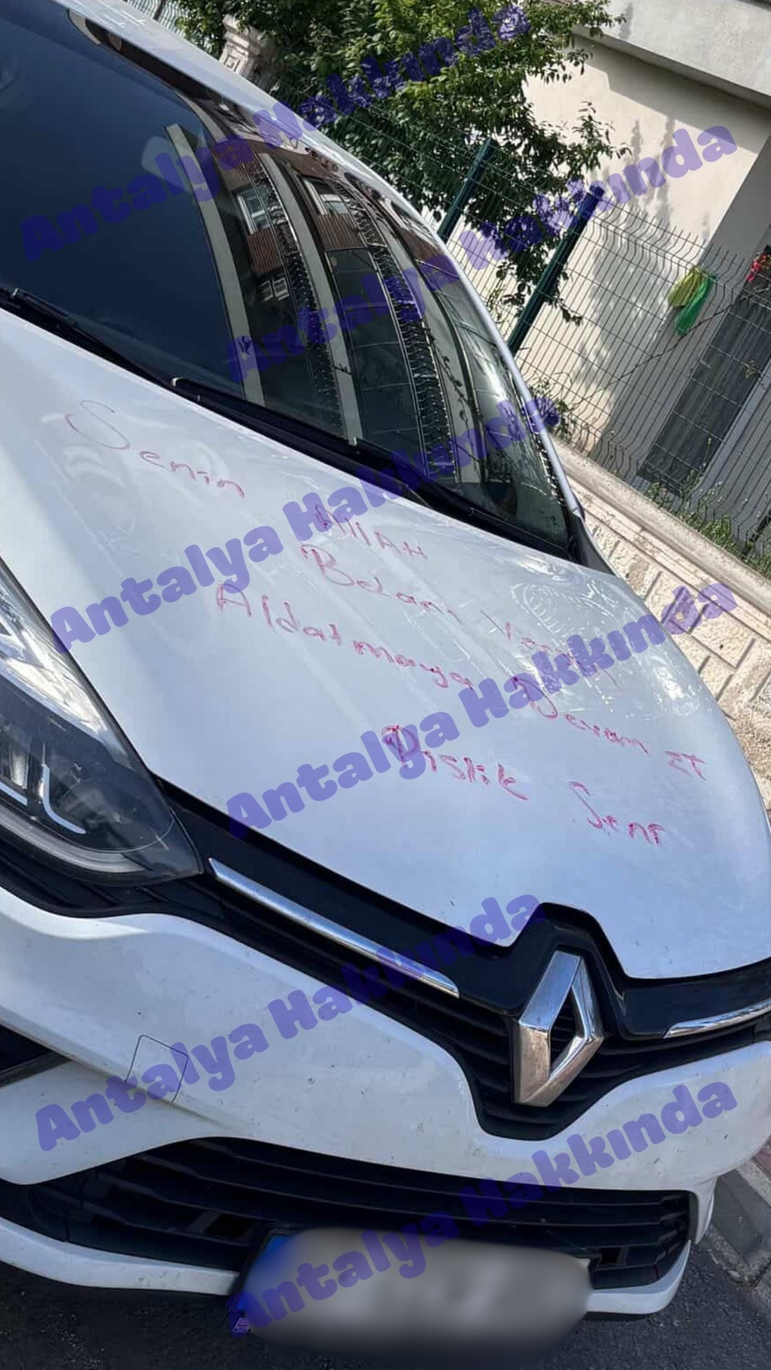 Aracın Kaputuna Yazdı