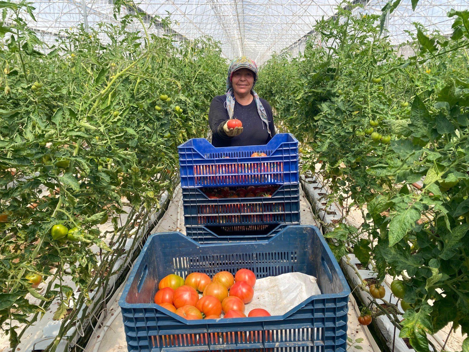 Aksu Ortualti Tarim Kadin Ciftci.1