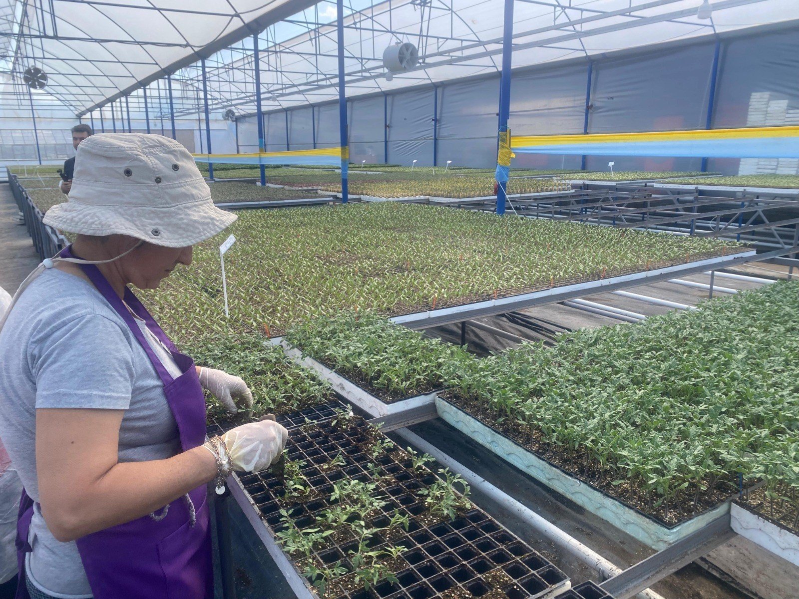 Aksu Ortualti Tarim Kadin Ciftci.4