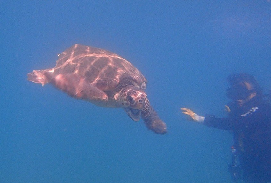 Antalya Deniz Polisi3