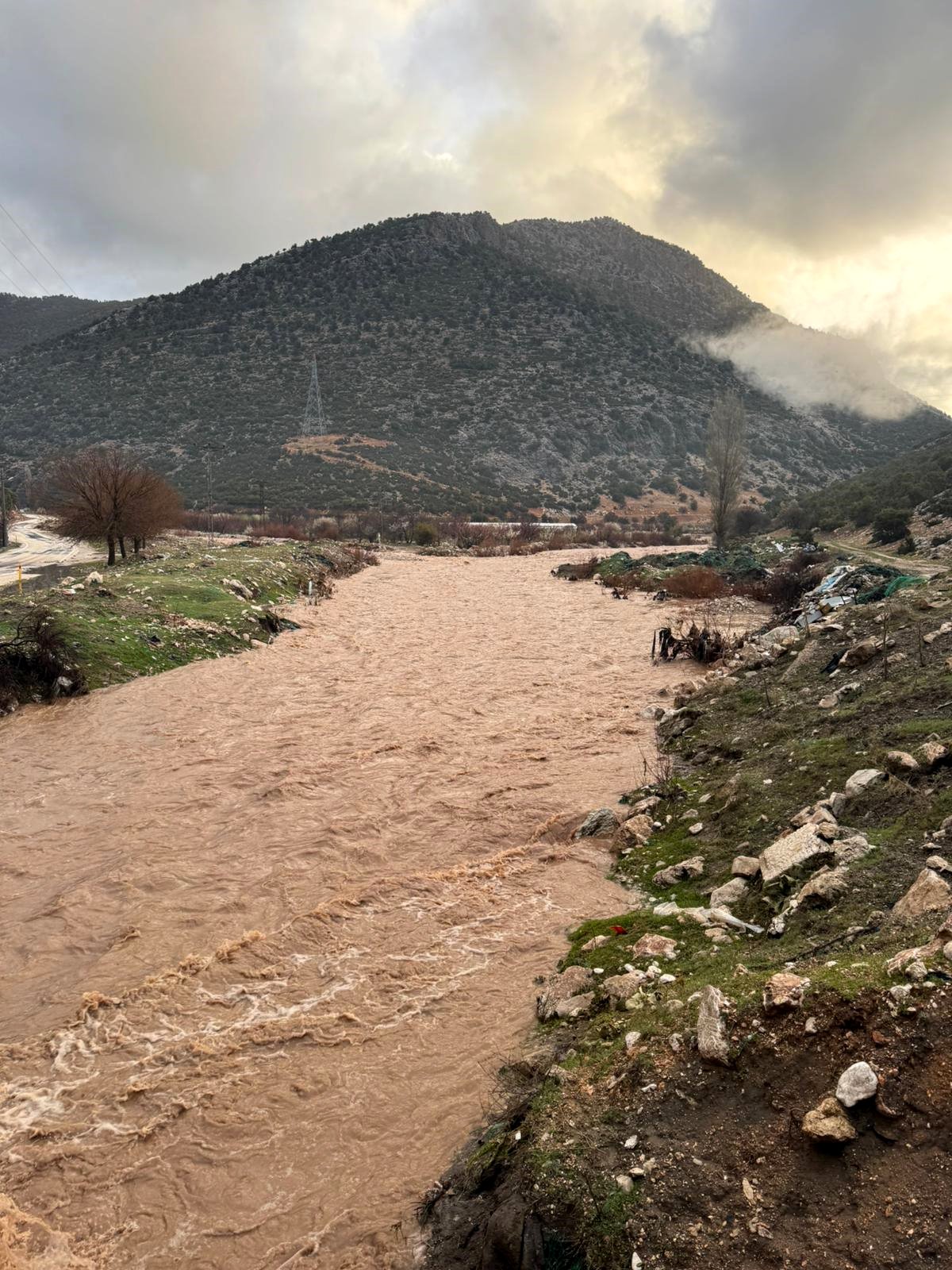 Antalya Saganak Elmali
