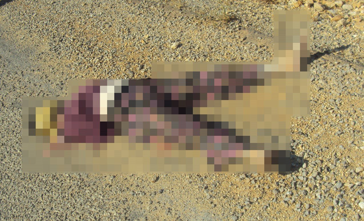 Antalya'da 15 Yıllık Cinayetin Sırrı Dna Eşleşmesi Ile Çözüldü2