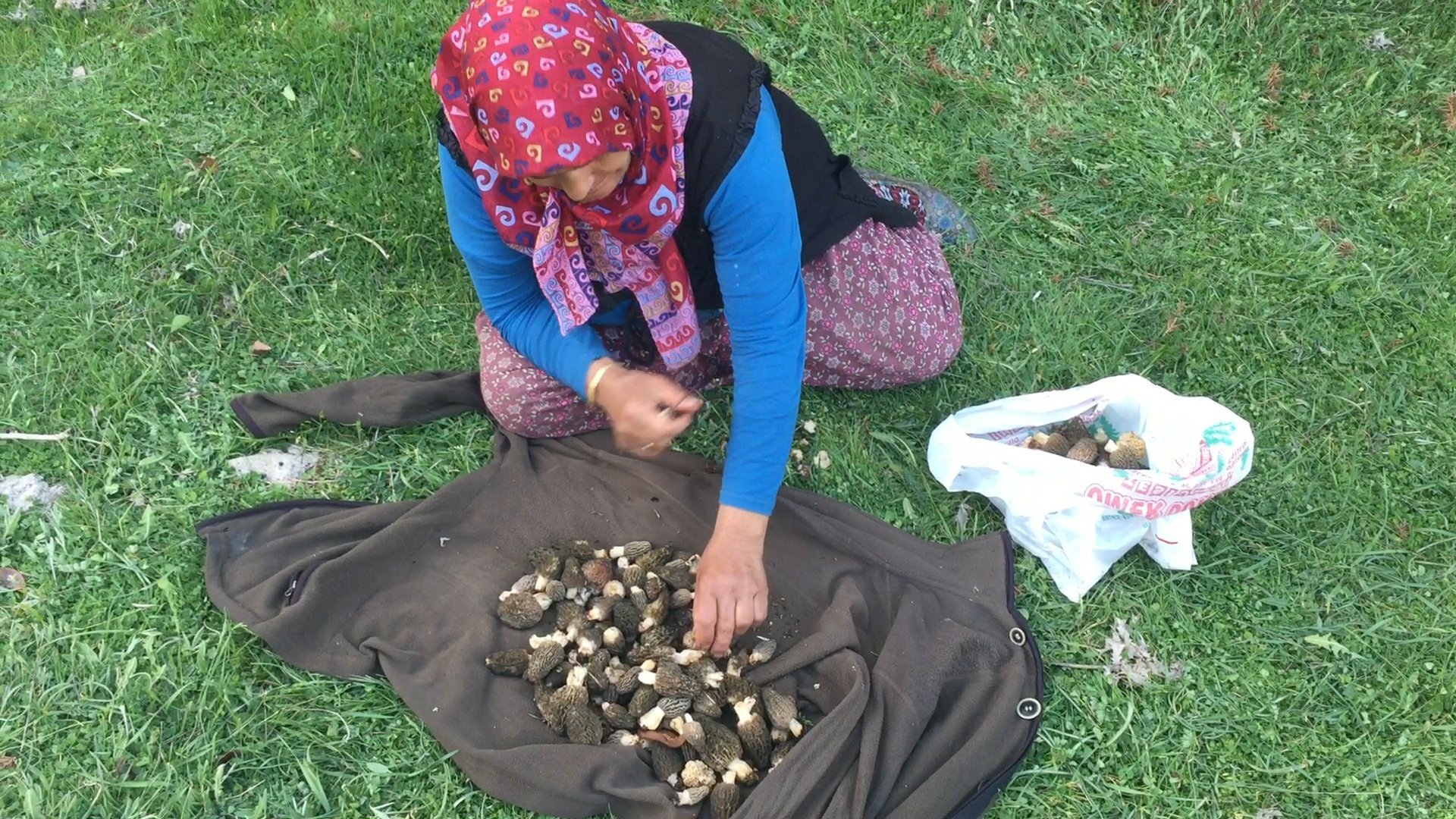 Antalya'da Altın Değerinde Mantar5