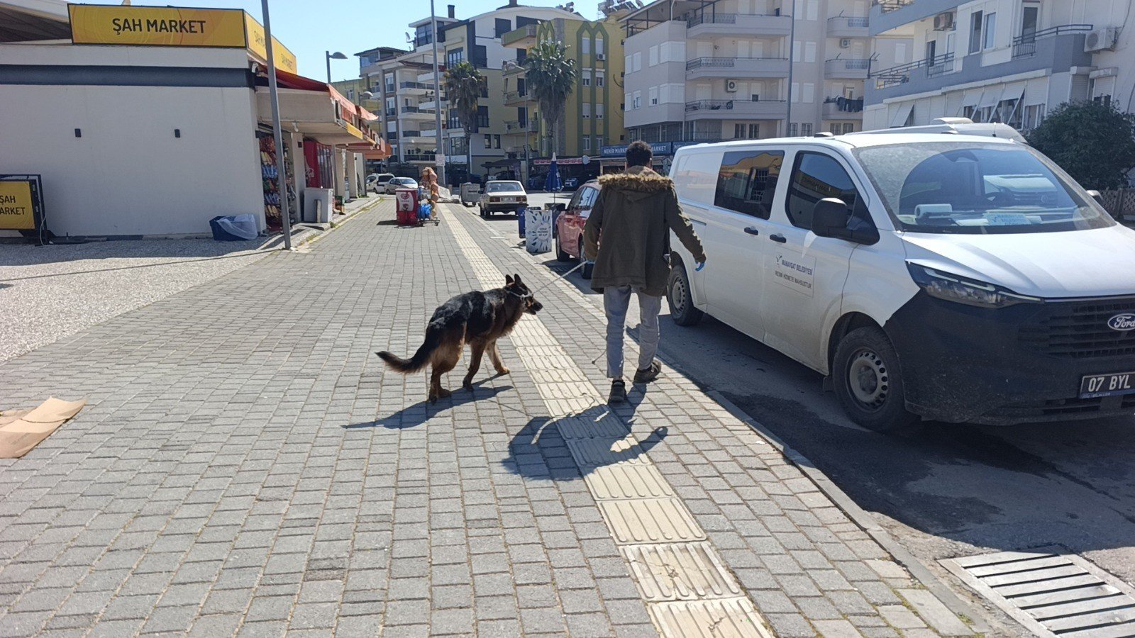 Antalya'da Evcil Köpek Sahibini Hastanelik Etti1