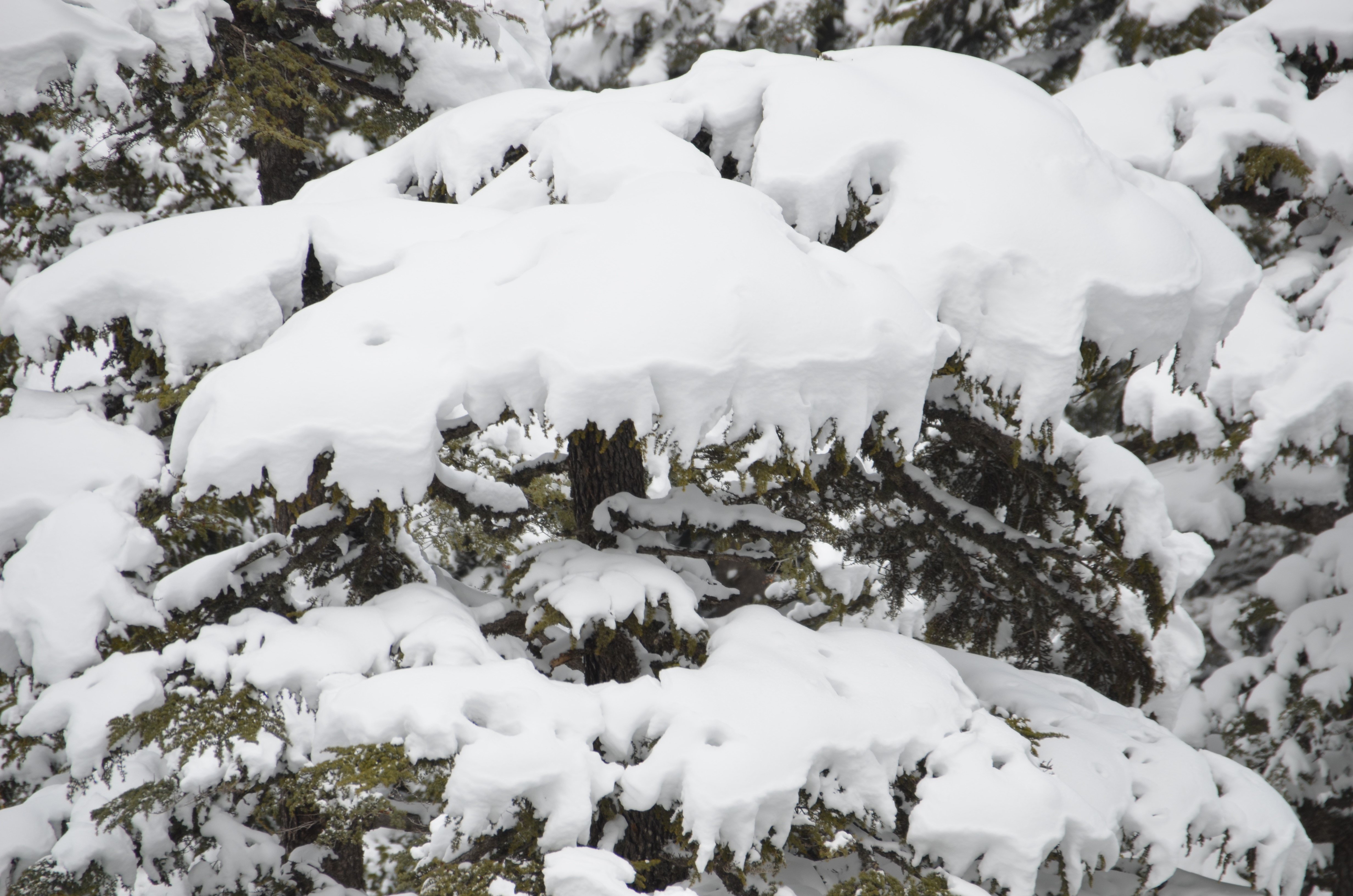 Antalya'ya Nisan Ayında Kar Yağdı4