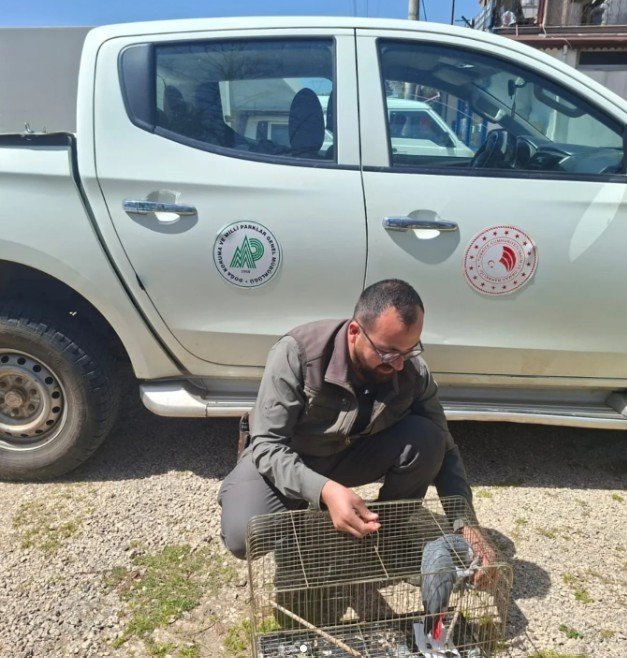 Jako Papaganina El Konuldu Antalya1