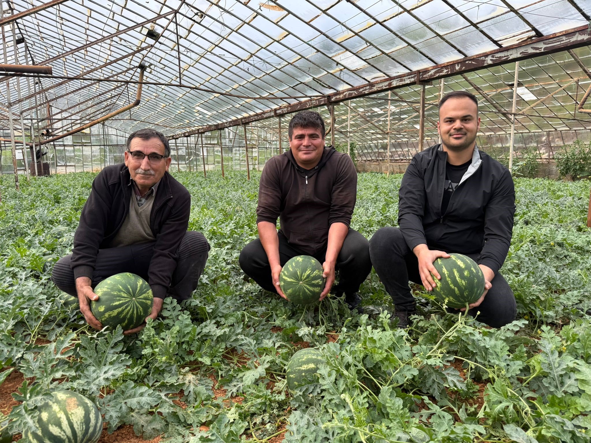 Karpuz Hasadı Serik5