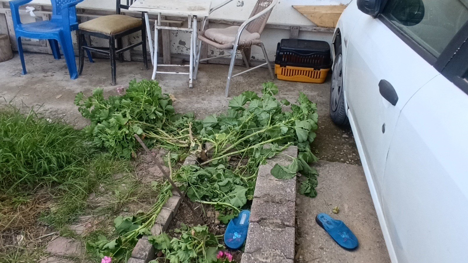 Manavgat Ikinci Kattan Dustu Antalya4