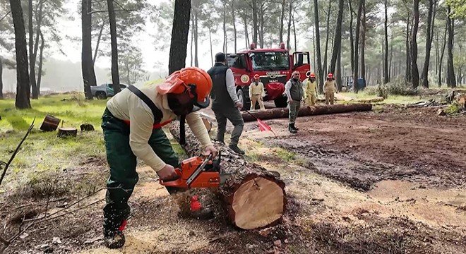 Ormancilik Yarismasi1