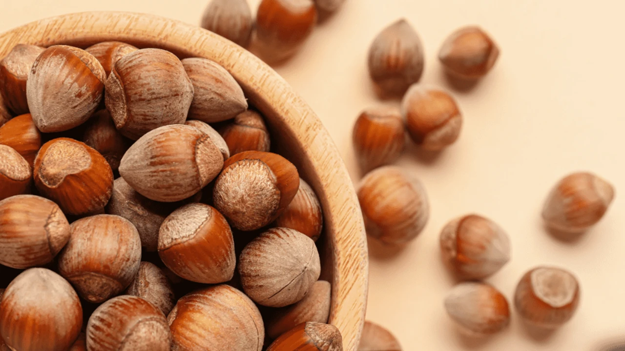 7 Nisan 2026 Salı il il fındık fiyatları ne kadar?