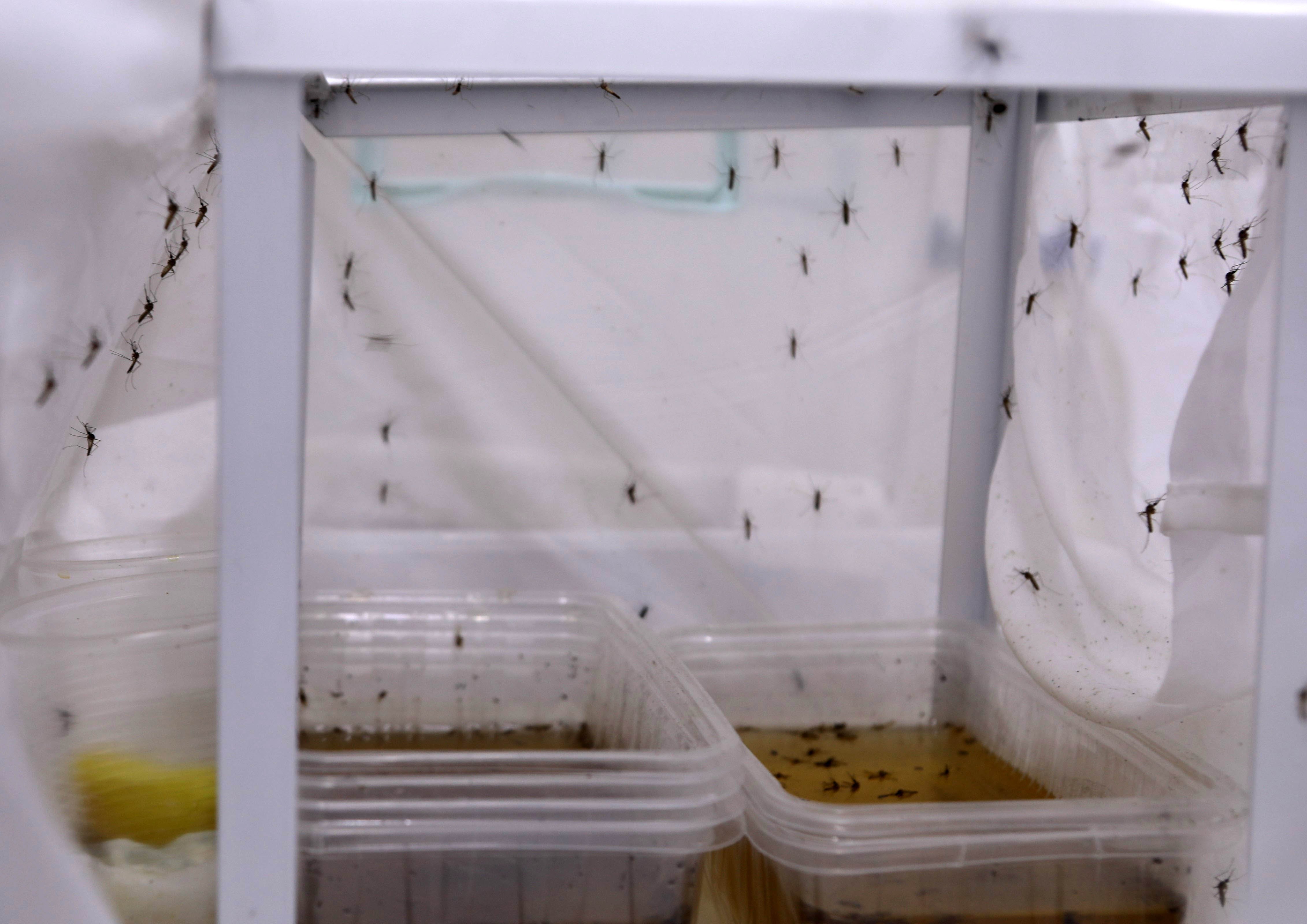 A N T A L Y A D A Y O G U N Y A G I S L A R S O N R A S I S I V R I S 1249982 371894