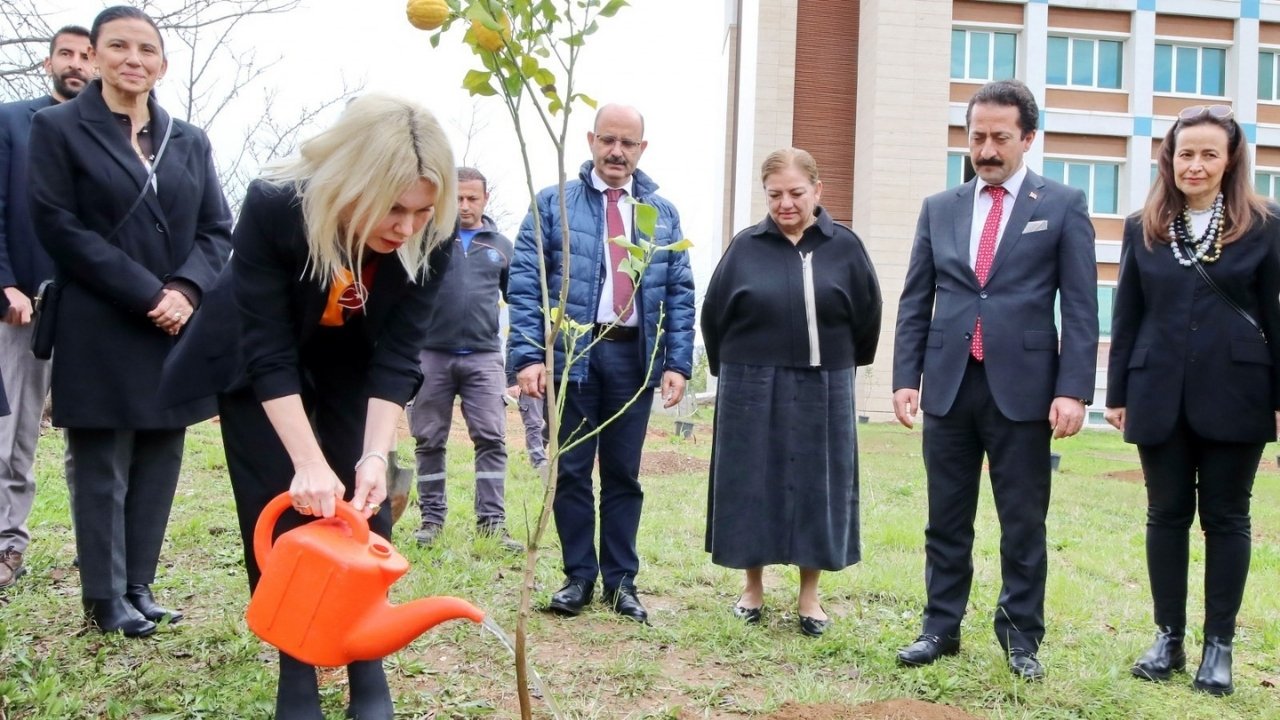 Akdeniz Üniversitesi'nde Son 2 Yılda 5 Bin Fidan Dikildi-1