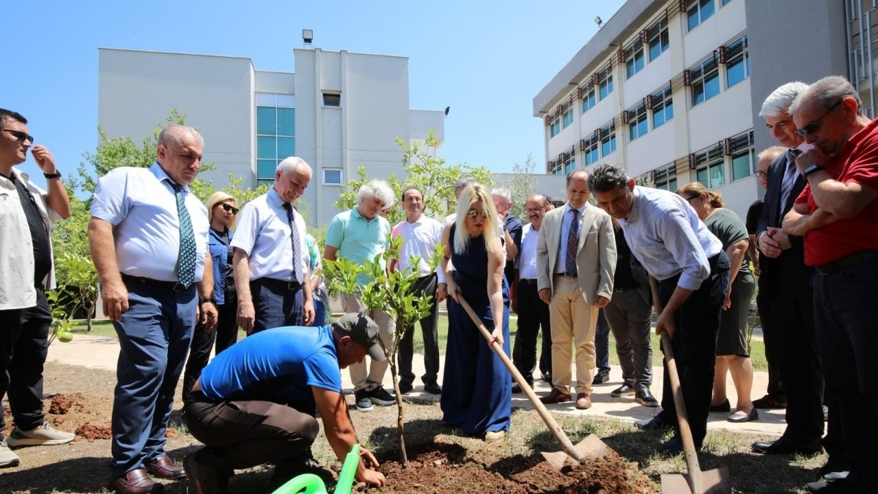 Akdeniz Üniversitesi'nde Son 2 Yılda 5 Bin Fidan Dikildi