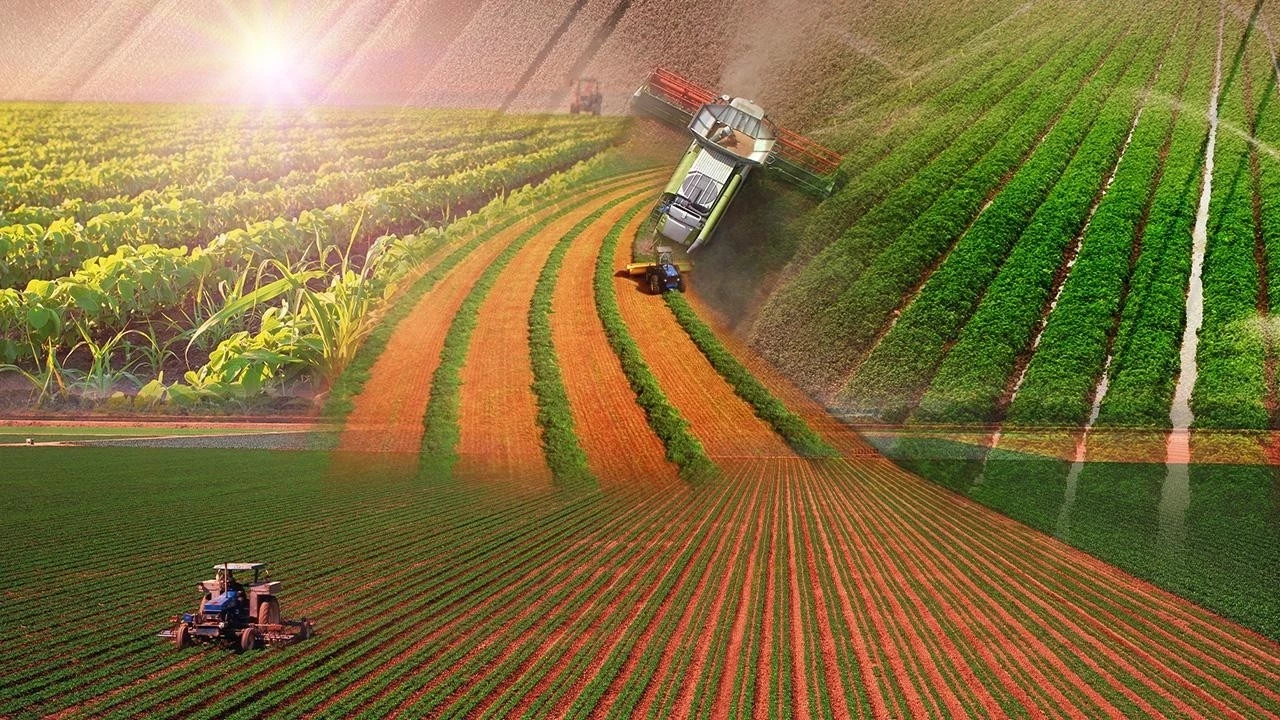 Türkiye'de tarımın en yoğun olduğu iller açıklandı!