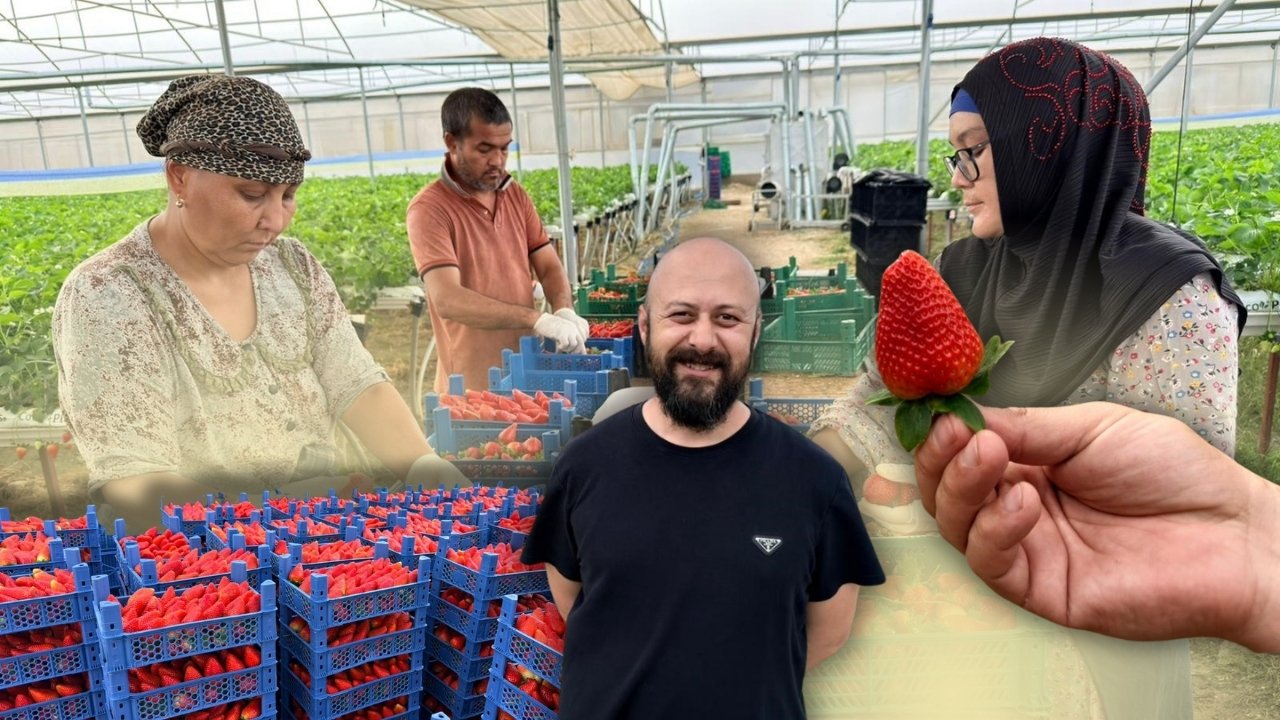 Almanya’da öğrendi Antalya'da uyguladı! Hedef 100 ton