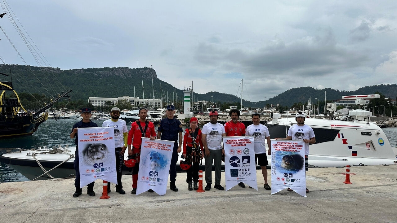 Akdeniz Fokları Antalya2