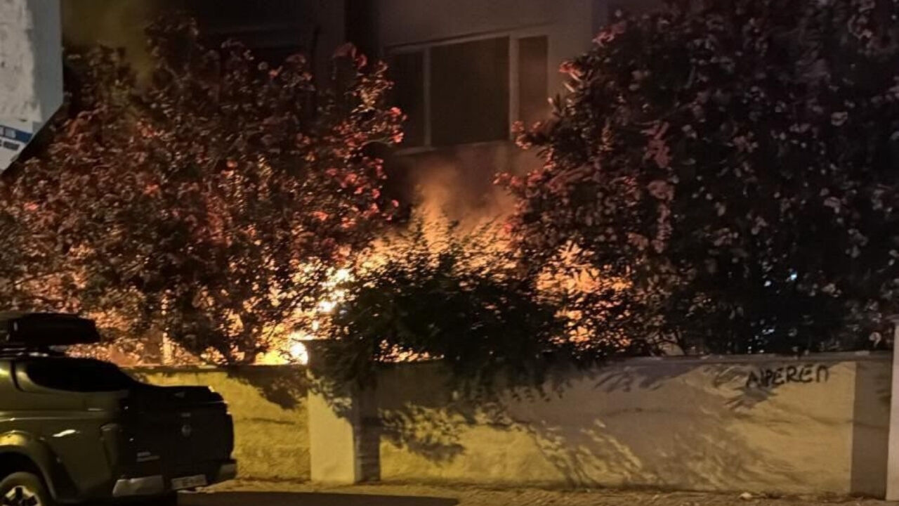 Antalya Hurma Yangın2